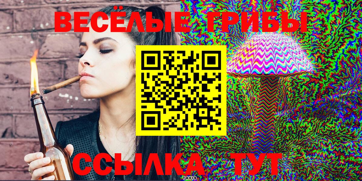 Галлюциногенные грибы Psilocybe Рубцовск