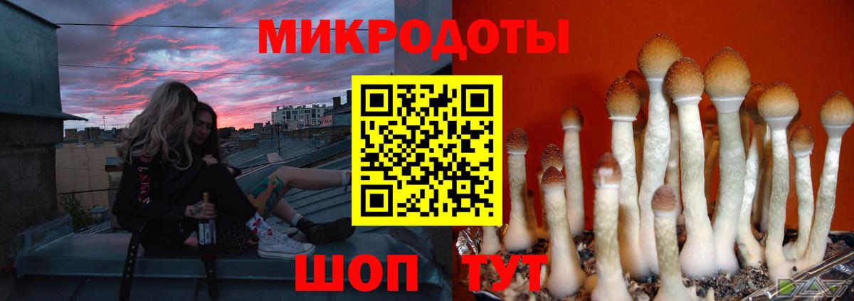 Псилоцибиновые грибы GOLDEN TEACHER  Вход с VPN  Рубцовск  Псилоцибиновые грибы мицелий 